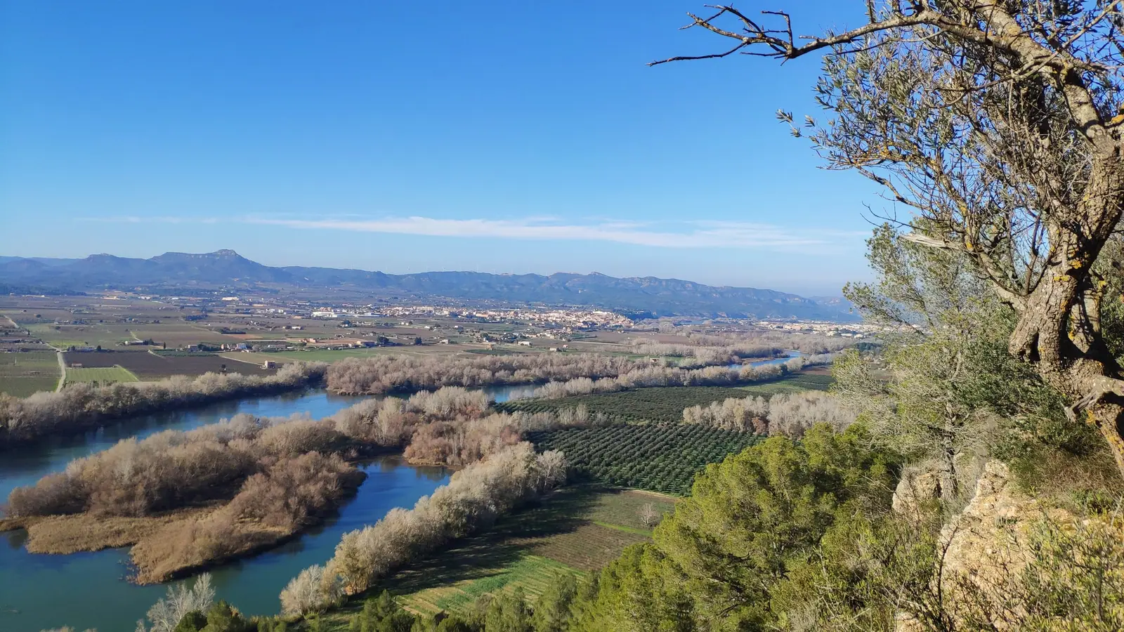Viewpoint over the river, olive groves and distant mountains